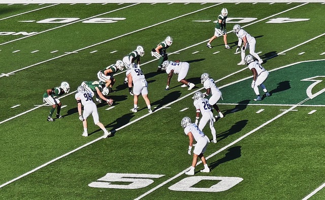 与拼搏精神 与拼搏精神