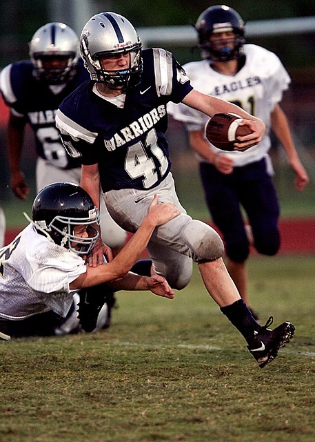 布莱德索的 布莱德索的