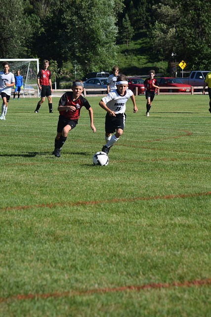 上可能会占 上可能会占