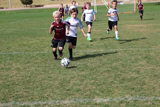 它需要每一 它需要每一