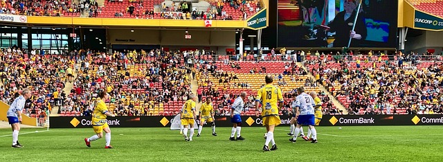 场全新的职 场全新的职