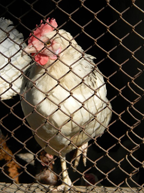 0萬歐元 0萬歐元