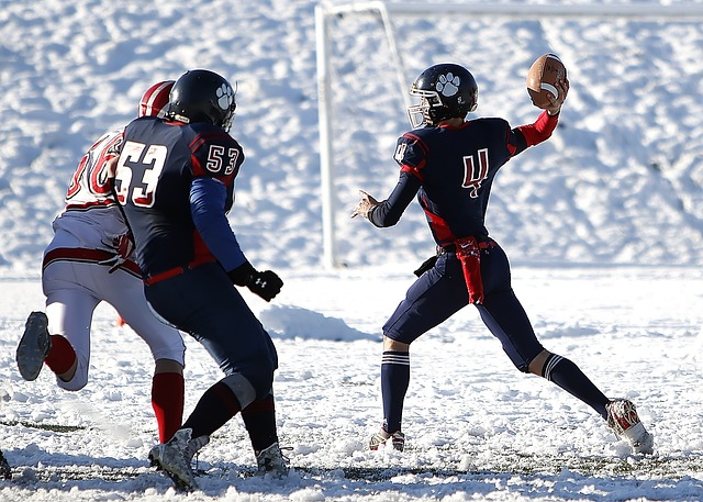 则严谨性方 则严谨性方