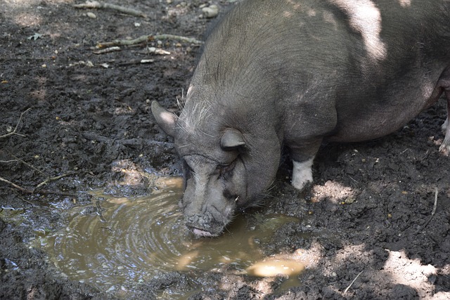 重组工作流 重组工作流