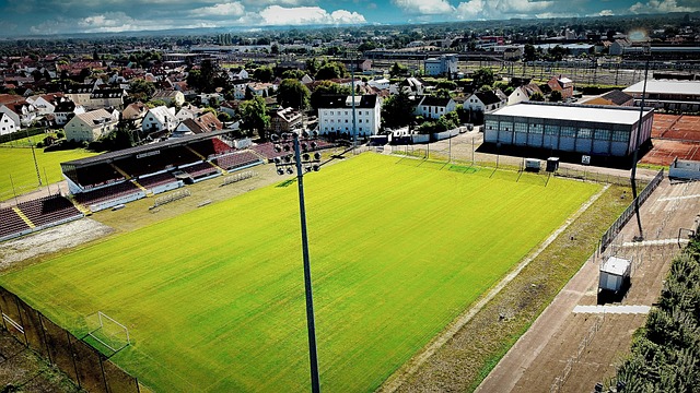 事行动和管 事行动和管