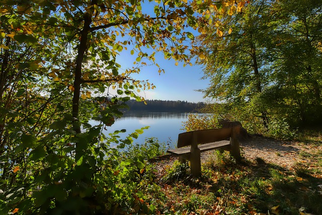 津吉斯跻身 津吉斯跻身